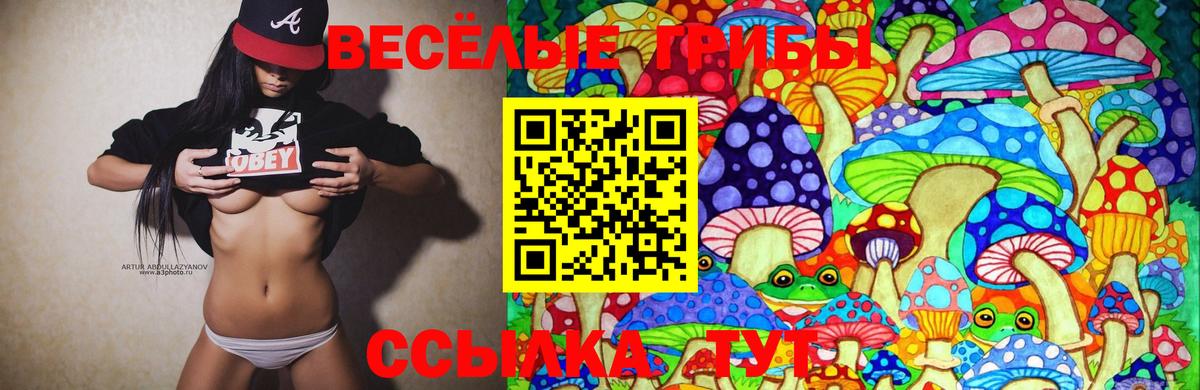Галлюциногенные грибы Cubensis Тавда
