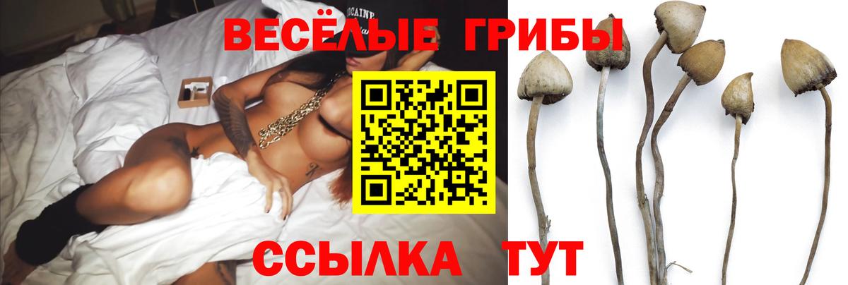 Галлюциногенные грибы прущие грибы  Вход с VPN  Тавда 